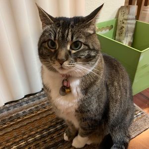 Meet your Posher, Victor